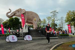 BIB: 
                            <button type="button" onclick="openModal(26529176)" class="btn btn-primary btn-sm float-right btn-popup" data-toggle="modal" data-target=".modal-high-quality">
                        <i class="fas fa-shopping-cart"></i> Add to Cart
                    </button>
                                            <button type="button" onclick="isThisMe(26529176, true)" class="btn btn-success btn-sm float-right btn-popup btn-isme hidden" data-toggle="tooltip" data-placement="bottom" title="นี่คือรูปของคุณใช่ไหม คลิกที่นี่เพื่อเอาเข้าอัลบั้ม">
                        <i class="fas fa-plus"></i> Add to album
                    </button>
                    <button type="button" onclick="isThisMe(26529176, false)" class="btn btn-warning btn-sm float-right btn-popup btn-isnotme hidden">
                        <i class="fas fa-ban"></i> Remove from album
                    </button>